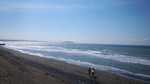 DSC_0272.jpg