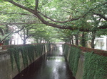 DSC_2219.jpg