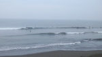 DSC_2261.jpg