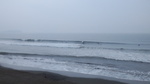 DSC_2262.jpg