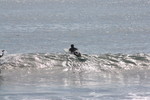 IMG_0004.jpg