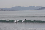 IMG_0006.jpg