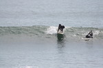 IMG_0007.jpg