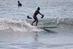 IMG_0011.jpg