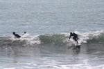 IMG_0015.jpg