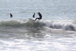 IMG_0016.jpg