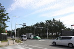 IMG_0028.jpg