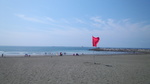 IMG_20150815_100526.jpg