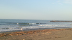 IMG_20160901_060459.jpg