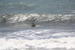 IMG_3972.JPG