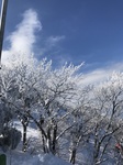 IMG_4449.jpeg