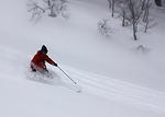 IMG_9252.jpg