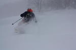 IMG_9486.jpg