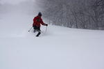 IMG_9677.jpg
