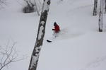 IMG_9731.jpg