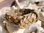 bracekahki1.jpg